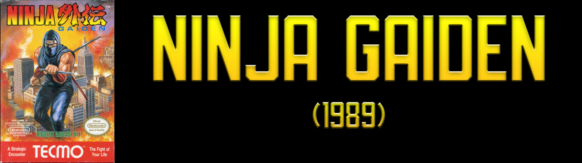 Ninja Gaiden